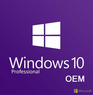 Windows 10 Pro OEM Lisans Key